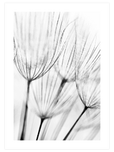 Delicatesse - Art Print